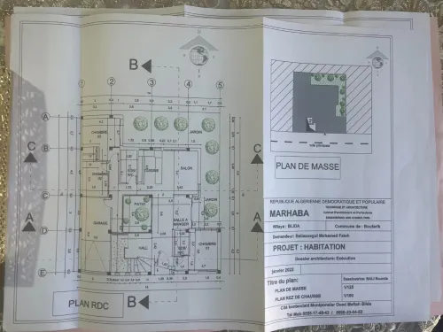 Vente Terrain Blida Boufarik