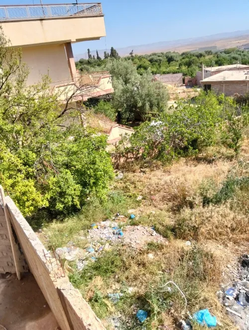 Vente Terrain Tlemcen Chetouane