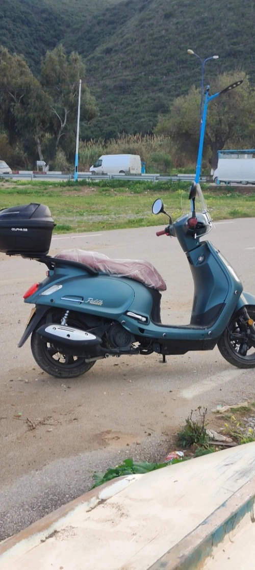 Fiddel 4 2025 2025