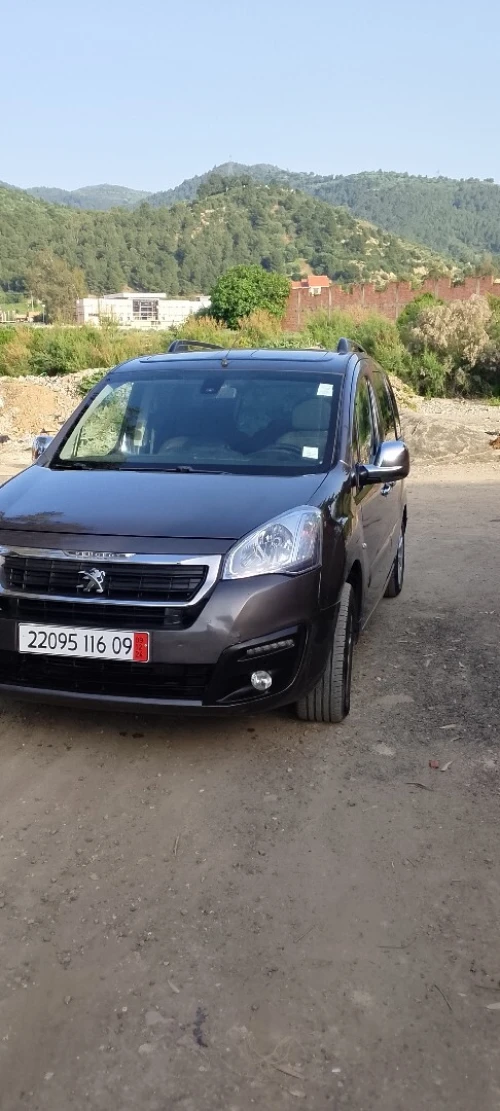 Peugeot Partner 2016 Tepee Active 