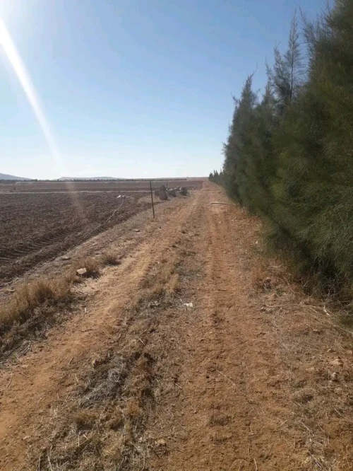 Vente Terrain Agricole Djelfa Ain oussara