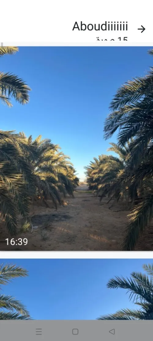 Cherche achat Terrain Agricole Ouargla Ain beida