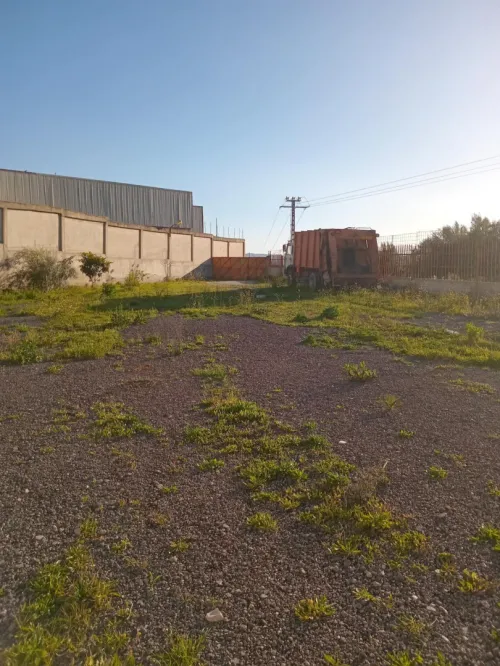 Vente Hangar - Usine Guelma Guellat bou dbaa