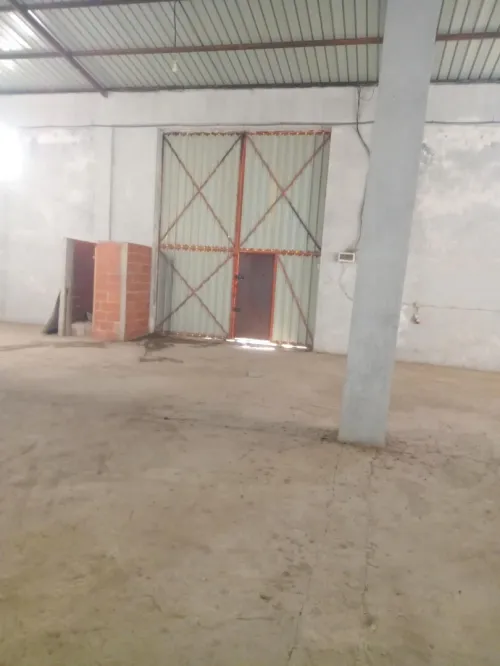 Vente Hangar Guelma Guellat bou dbaa