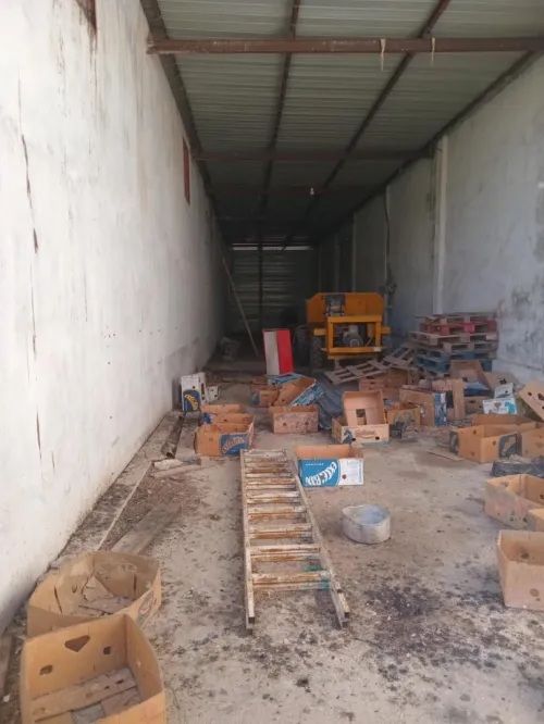 Vente Hangar Guelma Guellat bou dbaa