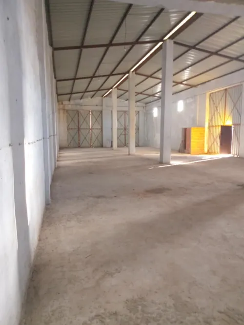 Vente Hangar Guelma Guellat bou dbaa
