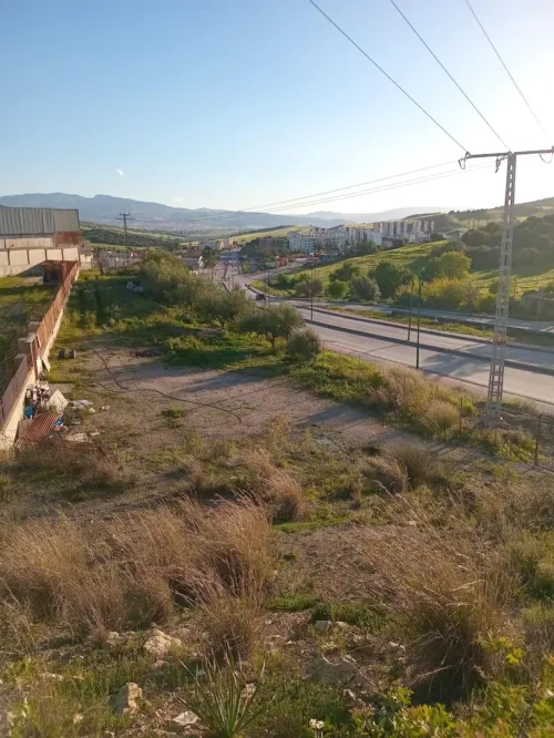 Vente Hangar Guelma Guellat bou dbaa