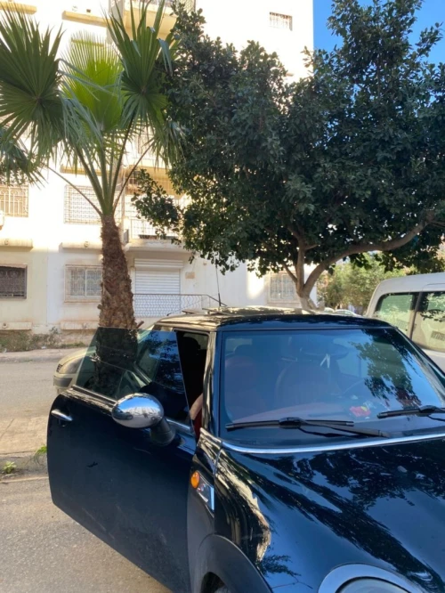 Mini Mini 2011 Cooper S