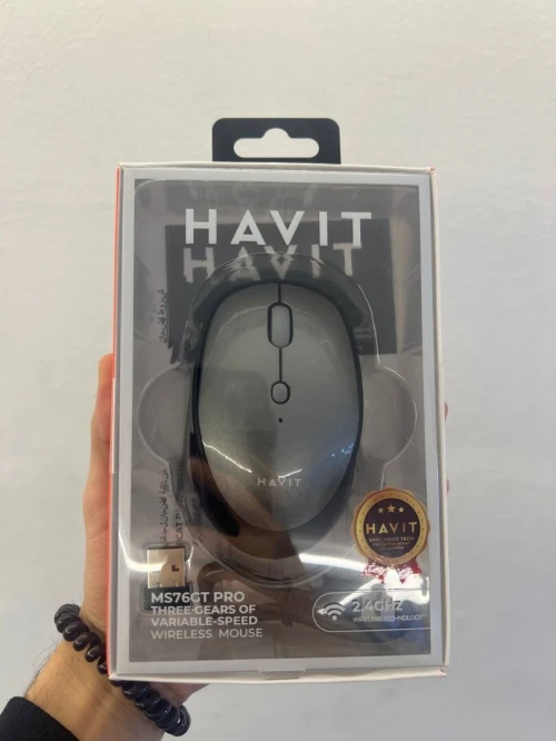 HAVIT MS76GT PRO GRIS - SOURIS SANS FIL - CONNEXION 2.4GHZ - PRÉCISION OPTIQUE - DESIGN ERGONOMIQUE - SILENCIEUSE - GREY