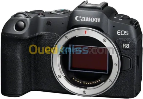 CANON EOS R8 Hybride Mirroless 24MP Vidéo 4K + Objectif RF 24-50MM F4.5 - 6.3 SIS STM  