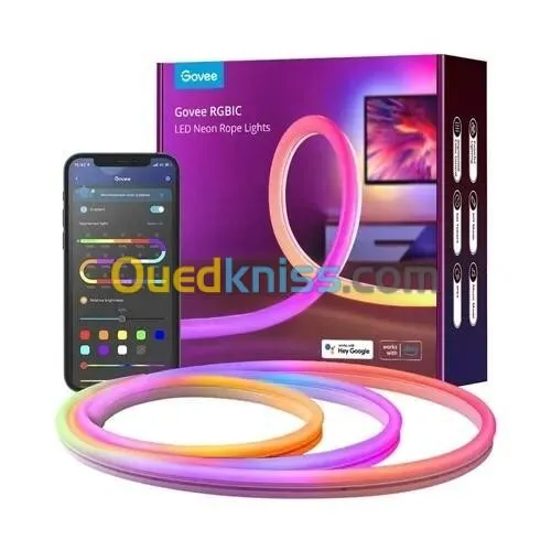 GOVEE RGBIC LED NEON ROPE LIGHT - H61A0 - ENERGY CLASS - 3M 10FT - COLOR-MATCH - CONTRÔLE VOCAL +APP