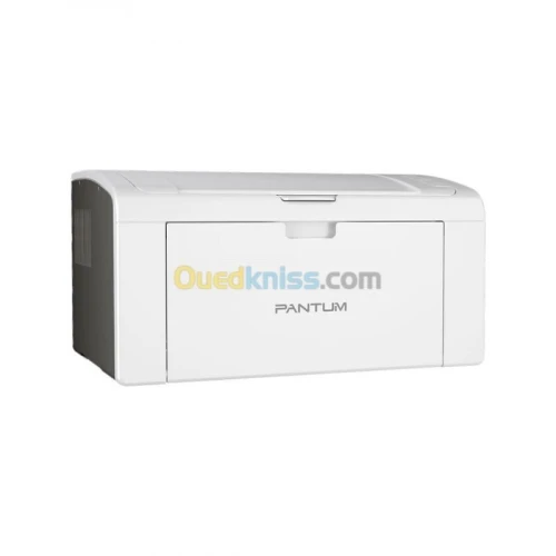 PANTUM P2509 - IMPRIMANTE LASER - MONOCHROME A4 - MONOFONCTION - 22 PPM  - USB 2.0 - PD219 - GRISE 