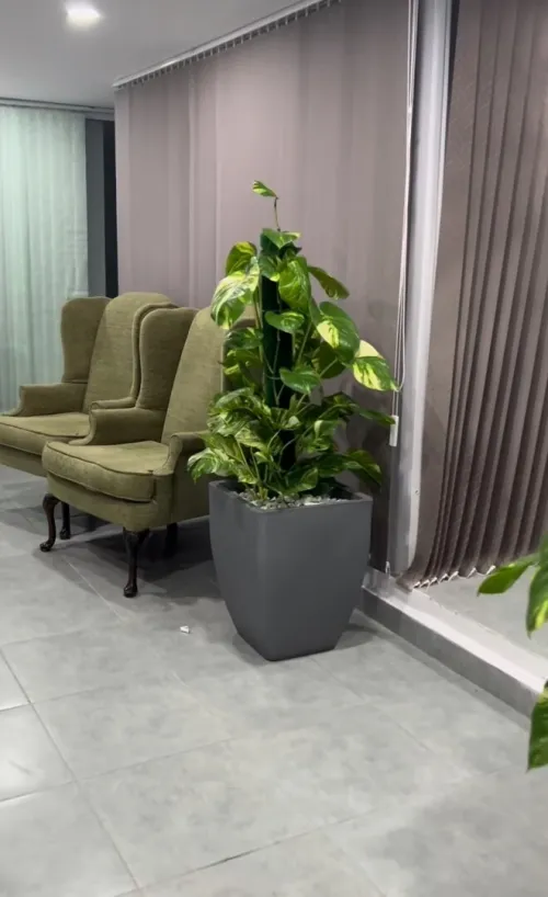 Des luxueux pots de haute qualité 