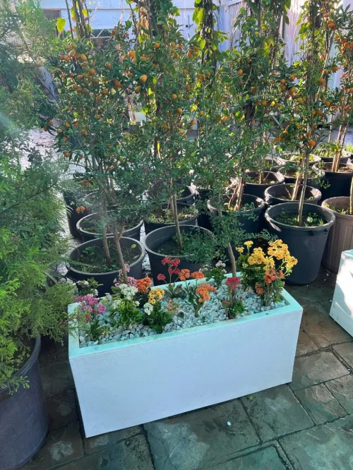Des luxueux pots de haute qualité 