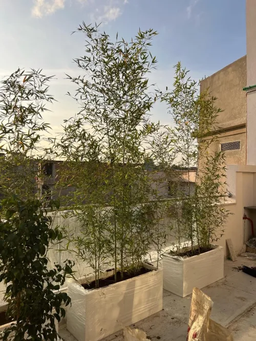 Des luxueux pots de haute qualité 