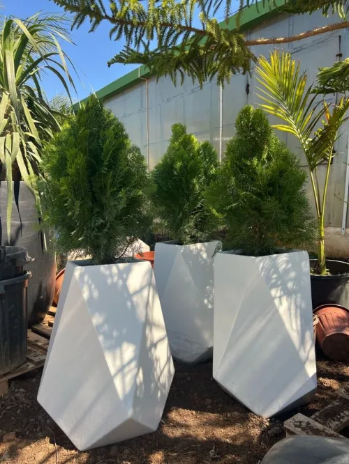 Des luxueux pots de haute qualité 