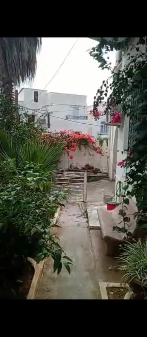 Location Appartement Niveau de villa F4 Alger El mouradia