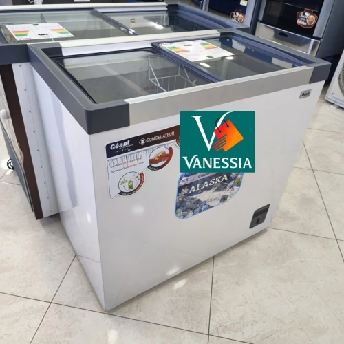 Congélateur Vitré 254L Marque Géant