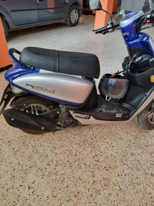 Okinio Cuxii 2 2025