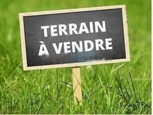 Vente Terrain Alger Souidania