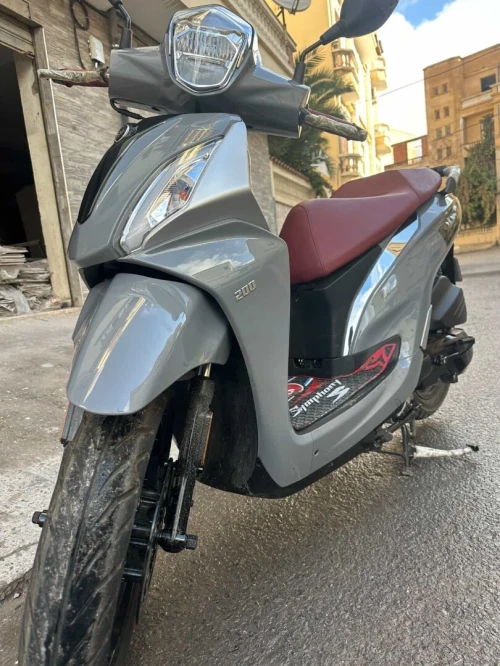 St St 2024
