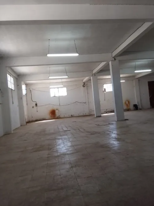 Location Hangar - Usine Alger Tessala el merdja