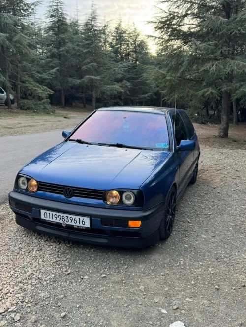 Volkswagen Golf 3 1996 Golf 3