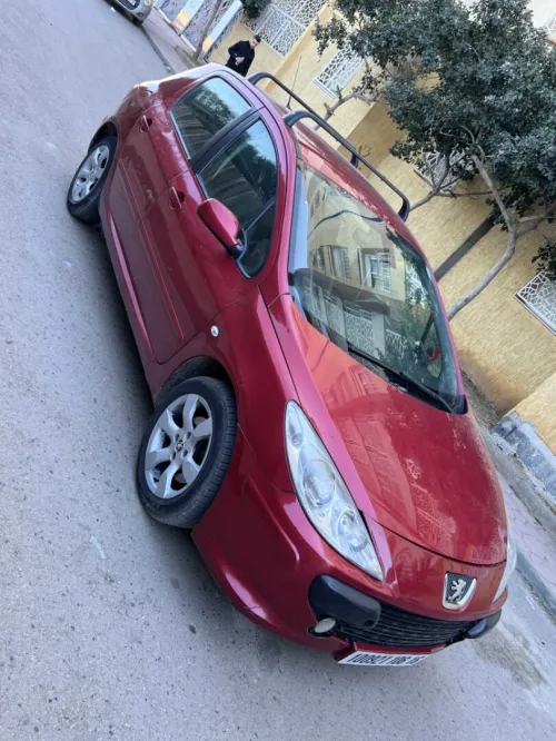 Peugeot 307 2006 Oxygo