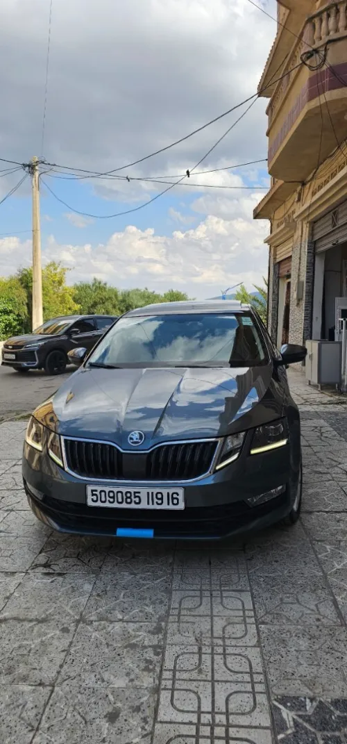 Skoda Octavia 2019 Clever
