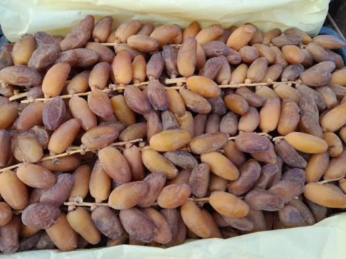 Vente Terrain Agricole Biskra Lichana