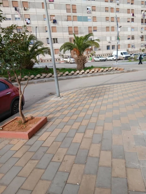 Location Local Alger Mohammadia
