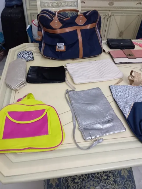 Vend lot de vêtements et sacs pour femmes 