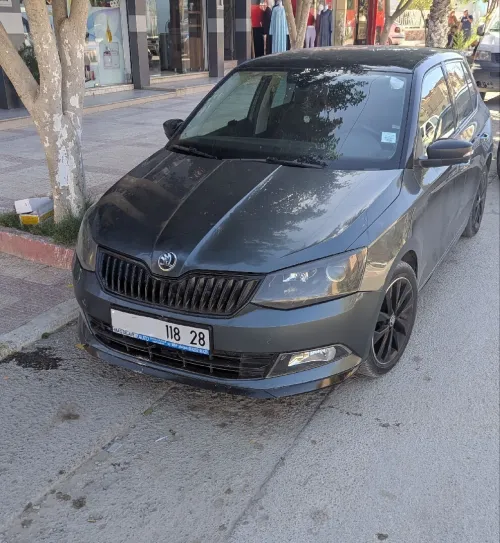 Skoda Fabia 2018 Monte Carlo
