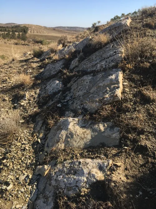 Vente Terrain Sétif Djemila