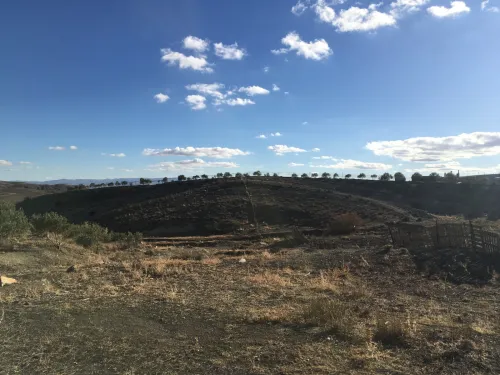 Vente Terrain Sétif Djemila