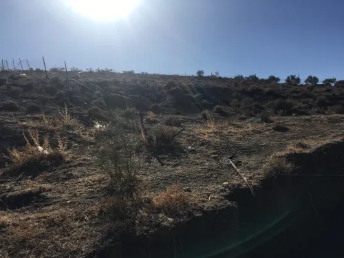 Vente Terrain Sétif Djemila