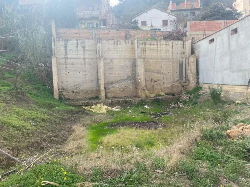 Vente Terrain Tipaza Larhat