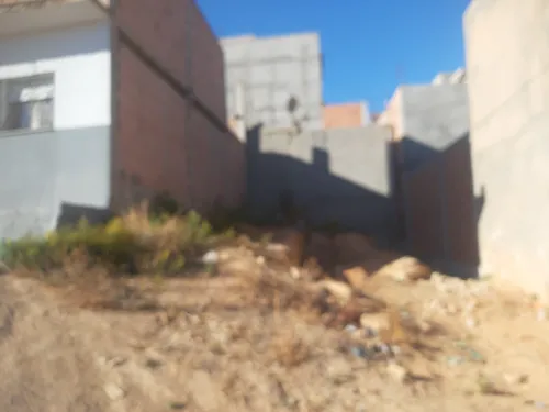 Vente Terrain Tlemcen Tlemcen