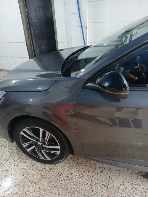 Peugeot 208 2022 208