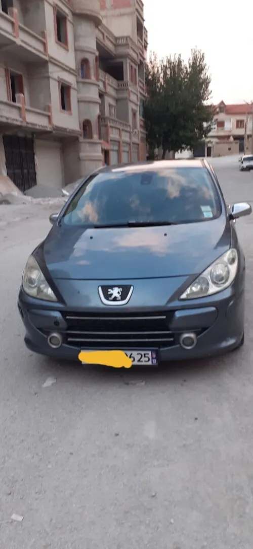Peugeot 307 2006 307