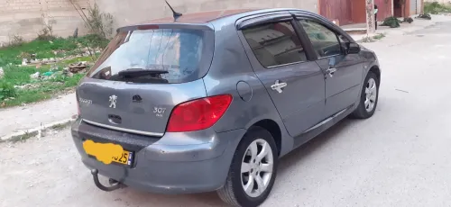Peugeot 307 2006 307