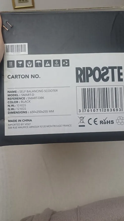 Hoverboard électrique