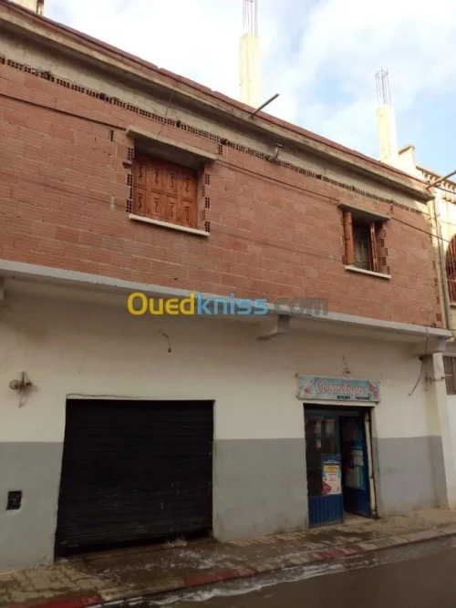 Vente Villa Blida Beni tamou