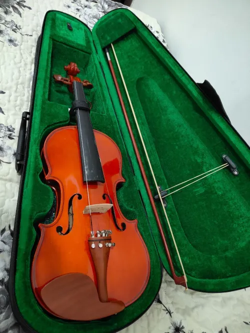 Violon 4 cart