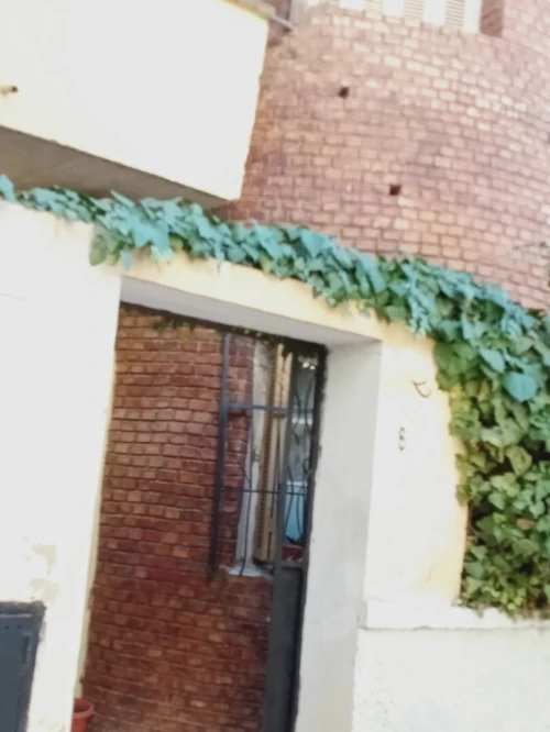 Vente Villa Tiaret Tiaret