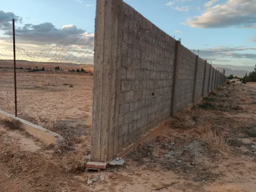Vente Terrain Agricole Tébessa Bir Dheb