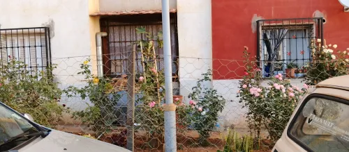 Vente Appartement F3 Tipaza 