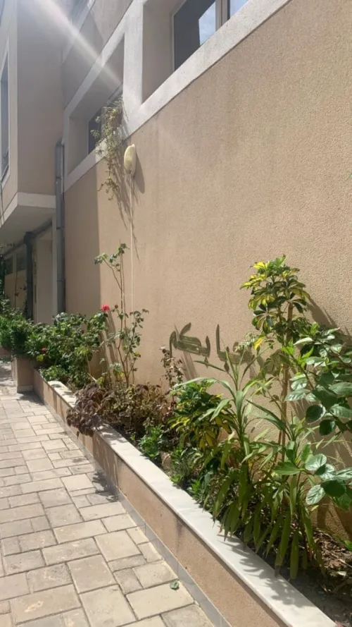 Vente Appartement F5 Skikda Skikda