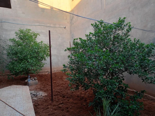 Vente Villa Béchar Bechar