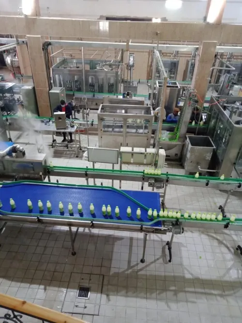 Vente Hangar Tiaret Sougueur